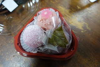 s-DSC02837
